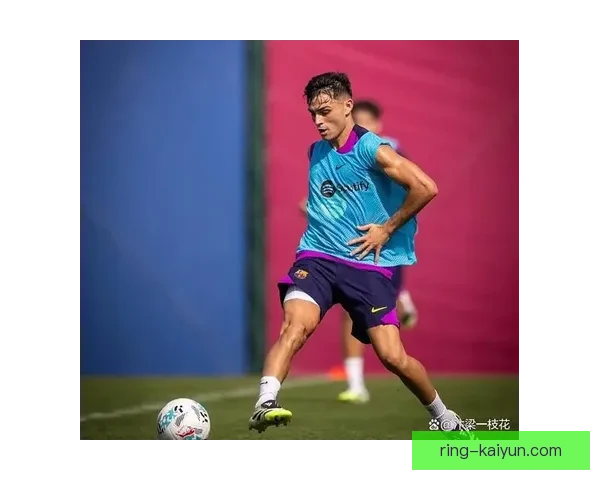 佩德里与哈维相似点